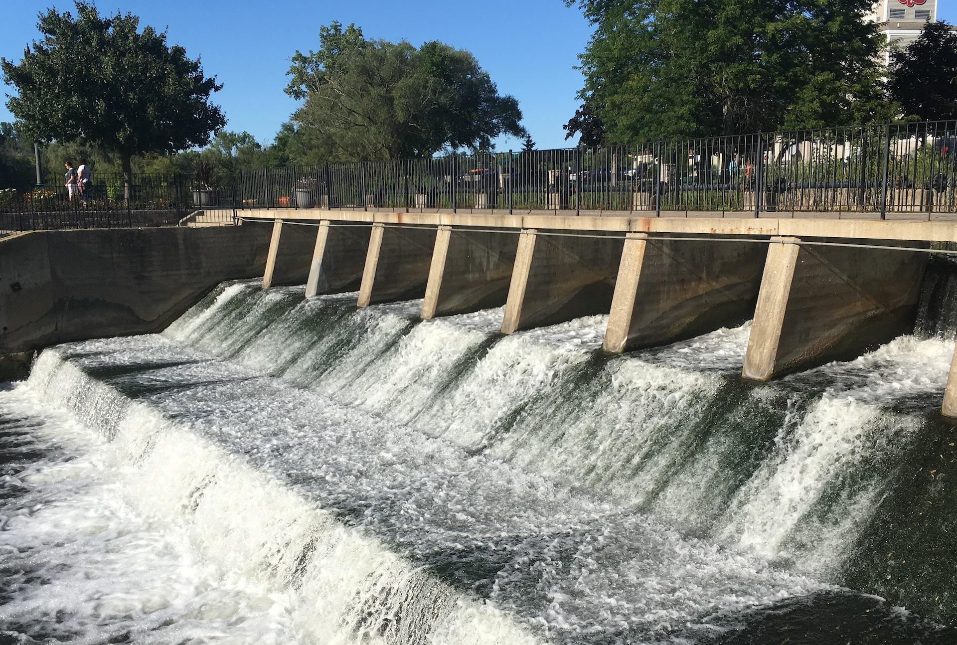 water falls in the middle of green trees